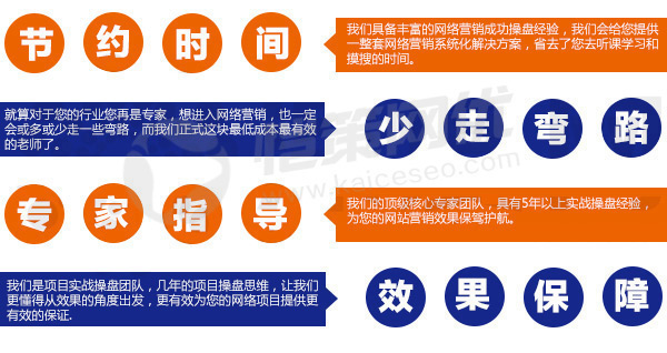 愷策網(wǎng)優(yōu)為您的項目提供效果保障